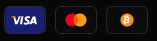 Accepted payment methods: Visa, Mastercard, and Bitcoin